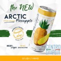 Arctic Pineapple 50 ml Mix & Vape